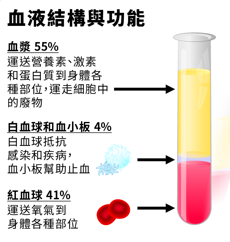 血液結構與功能血漿白血球和血小板紅血球